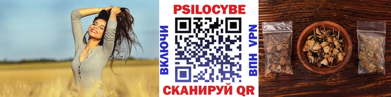 mega онион  магазин  наркотиков  Петушки  Галлюциногенные грибы ЛСД 